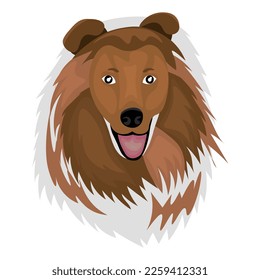 Head of funny dog on white background