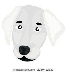 Head of funny dog on white background