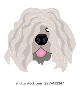 Head of funny dog on white background