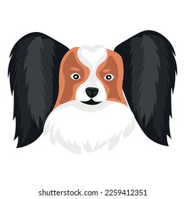 Head of funny fluffy dog on white background