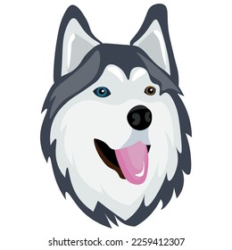 Head of funny Husky dog on white background