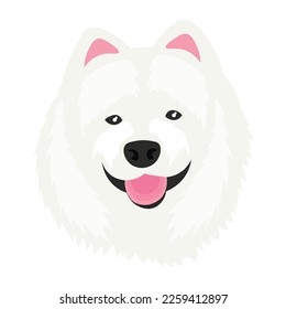 Head of funny samoyed dog on white background