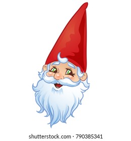 Head of the Garden Gnome. Isolated on a white background . Vector Illustration.