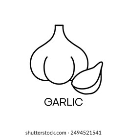 Head of garlic with clove., food ingredient. Garlic icon isolated on white background. Vector illustration.