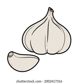 Head of garlic and clove separately color variation for coloring page isolated on white background