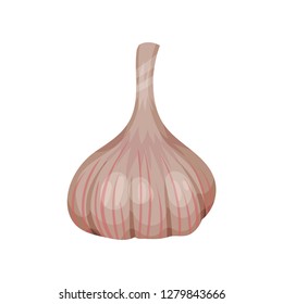 Head of garlic. Natural product. Cooking ingredient. Used for flavoring food. Detailed flat vector icon