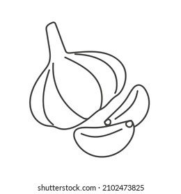 a head of garlic and two cloves of garlic are drawn in doodle style on a white background