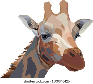 head, giraffe, animal, vector image, lowpoly, color,