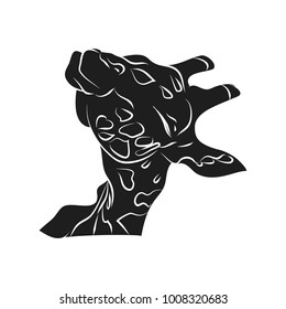 The head of a giraffe on a white background.