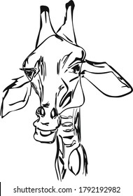 der Kopf einer Giraffenskizze, Vektorgrafik, schwarz-weißes Zeichnen