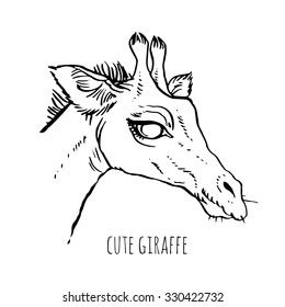 the head of a giraffe - vector hand-drawing sketch
