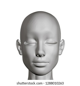 The head of a girl with a calm face. Polygonal girl's head with eyes closed. 3D. Vector illustration.
