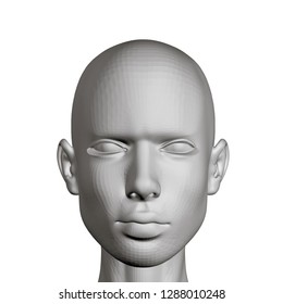 Head of a girl with a serious face. The polygonal head of the girl with a frowning recent face. 3D. Vector illustration.