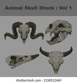 Head Goat Bear Buffalo Swan Animal Skull Realistic Vector Drawing Illustration