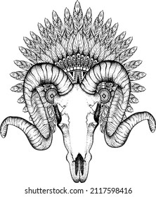 head goat design vector ilustrator