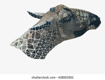 The head of a goat in grey color.