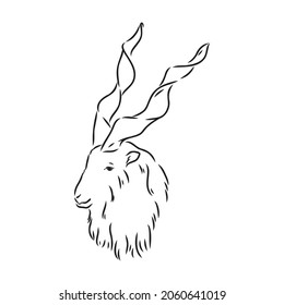 the head of a goat with large screw horns and thick hair looks straight full-face, sketch vector graphics monochrome illustration on a white background