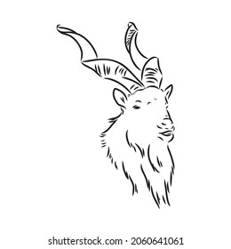 the head of a goat with large screw horns and thick hair looks straight full-face, sketch vector graphics monochrome illustration on a white background