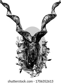 the head of a goat with large spiral horns and thick hair looks straight full face oval composition decorated with bell flowers and grass blades with leaves, sketch vector graphics monochrome