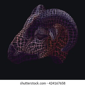 Head of a goat on a black background. 