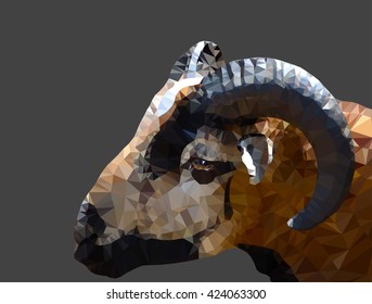 Head of a goat on a dark background in triangulation technique. 