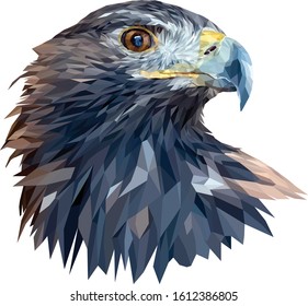 The head of a golden eagle close-up. The bird turned its head to the left. Vector. Polygonal graphics.