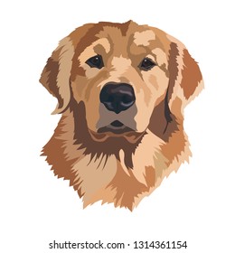 Head Golden Labrador Retriever vector illustration