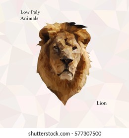Head of golden lion portrait from low poly. Vector polygonal illustration. Collection of triangle animals
