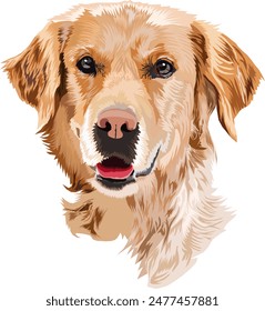 Head of Golden Retriever vector illustration