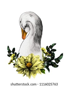 head of a goose with a wreath in the form of a frame from the bottom of the flower Dahlia twigs with leaves and flowers of buttercups, sketch vector graphics color illustration