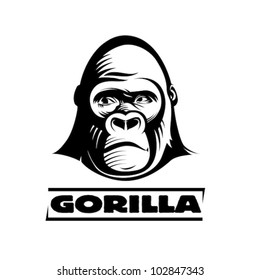 Head gorilla, engraving style illustration