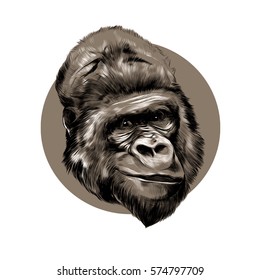 head gorilla sketch vector on brown background circle