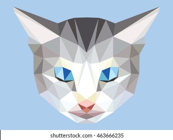 Head of gray cat low polygon with blue eyes, geometric animal face, pet crystal design, triangular kitten graphic isolated on cyan background.
