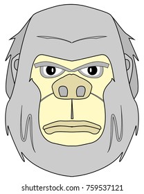 the head is gray yeti