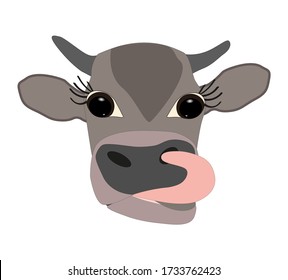 head of a gray-brown cow with big eyes and tongue sticking out on a white background