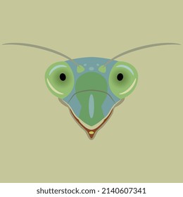 Head of a green praying mantis. Tenodera sinensis. Insect animal mask. Isolated vector illustration. Cartoon style. 
On yellow background.