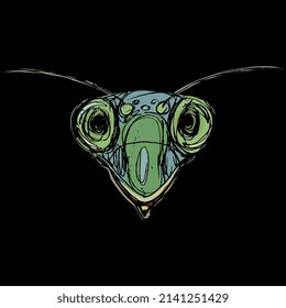 Head of a green praying mantis. Tenodera sinensis. Insect animal portrait. Hand drawn colorful rough sketch. On black background.