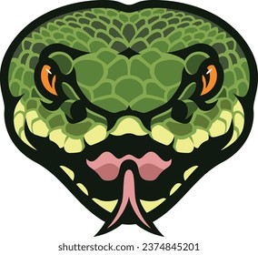 Head of Green Viper Front View Illustration