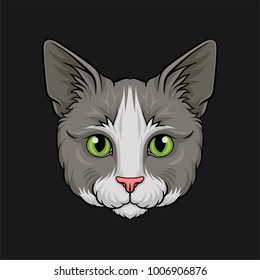 Head of grey cat, face of pet animal hand drawn vector Illustration