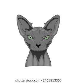 Head of grey cat sphinx wit green eyes illustaion 