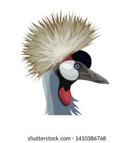 Head of grey crowned crane. Vector illustration isolated on white background