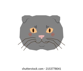 The head of a grey fold-eared cat with yellow eyes. The stylized face of a thoroughbred kitty. Vector illustration in a flat style.