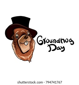 The head of a Groundhog in a hat on a dark white background with the words Groundhog day.