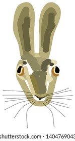 head of an hare in frontal view (vector)
