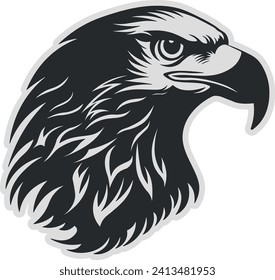 head of a hawk or eagle or griffin without background