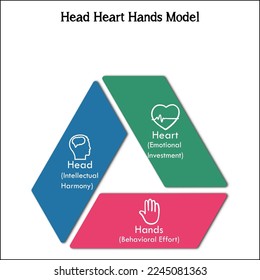 Head Heart Hands Model with Icons in an Infographic template