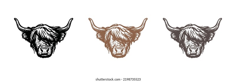 Head of highland cattle cow illustration hand drawn symbol icon logo vector. Farm logo design