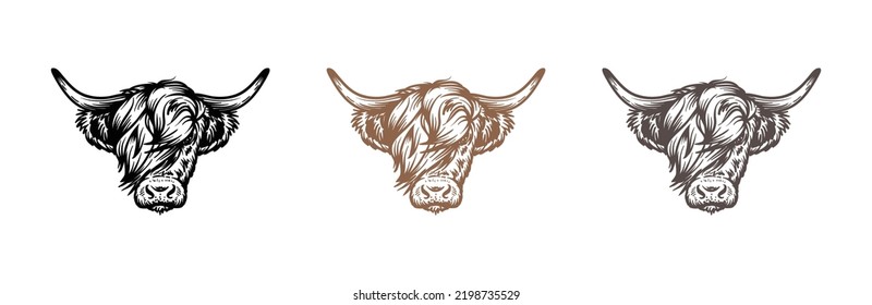 Head of highland cattle cow illustration hand drawn symbol icon logo vector. Farm logo design