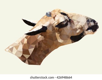 The head of a hoofed animal, the female, executed on a beige background.