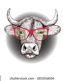 Cabeza de un toro de cuerno con gafas rojas. Imagen monocroma de un animal en un marco redondo gris. Imagen humorística para camisetas, estilo de impresión a mano. Ilustración vectorial.